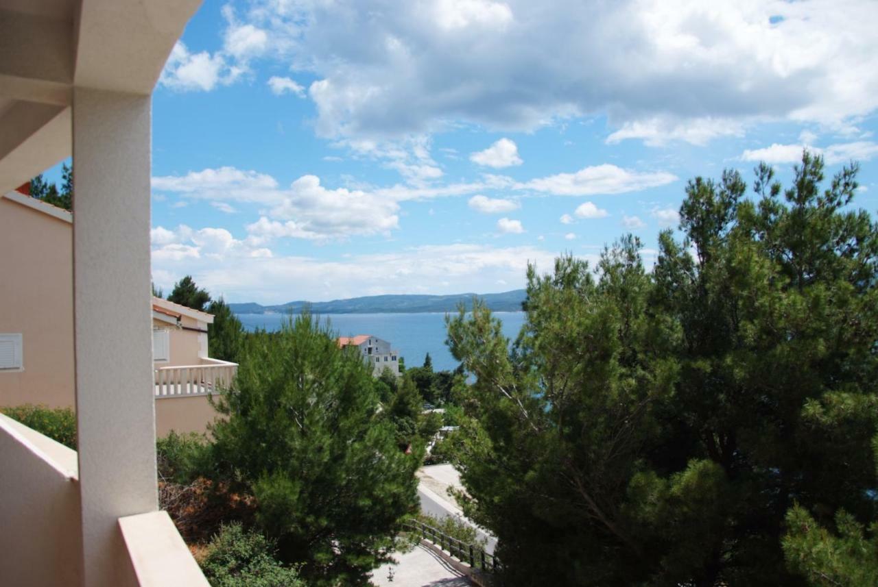 Cvita Omis