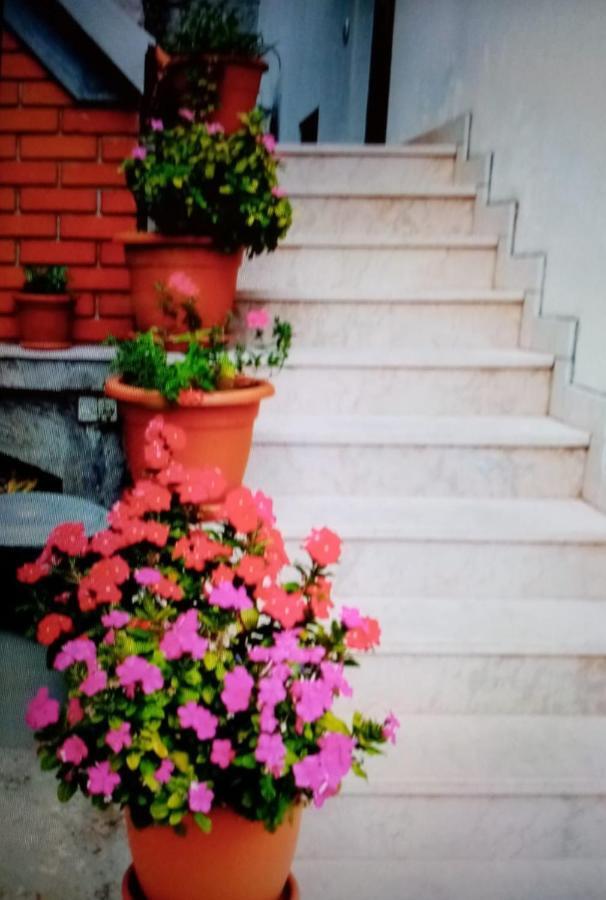 Cvita Apartment *